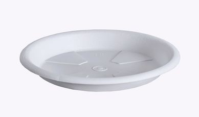 Prato 10cm Branco