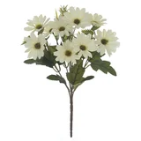 Buquê de Margarida X10 Creme