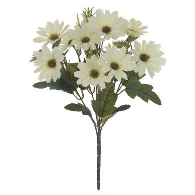 Buqu de Margarida X10 Creme