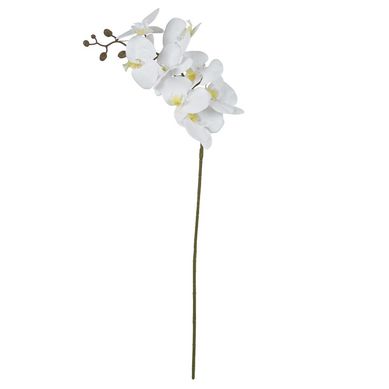 Haste Orqudea Phalaenopsis Real Toque 3D X8 Branco