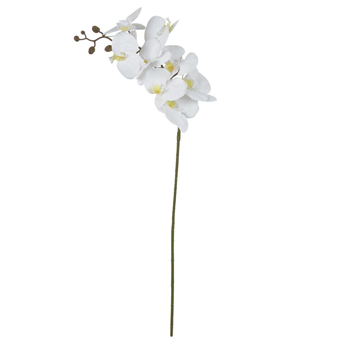 Haste Orquídea Phalaenopsis Real Toque 3D X8 Branco, marca Florarte - Foto Principal
