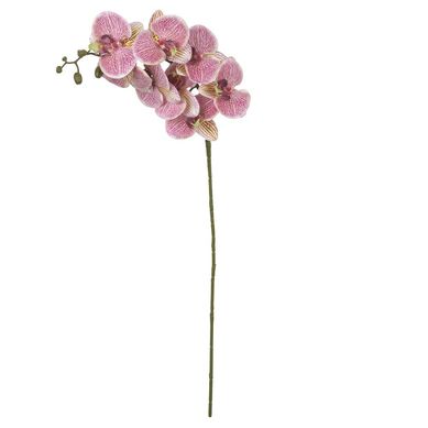 Haste Orqudea Phalaenopsis Real Toque 3D X8 Creme