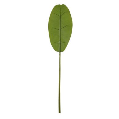 Folha de Bananeira Real Toque Verde