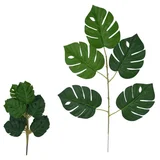 Costela de Adão X5 Verde