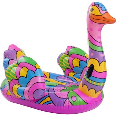 Boia Inflvel Cisne Pop