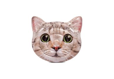 Boia Inflvel Gato