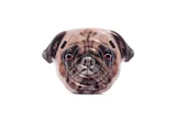 Boia Inflável Pug Marrom