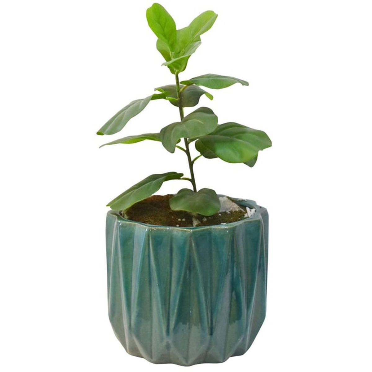 Vaso Cerâmica Nui P 19x18cm, marca Just Home Collection - Foto 2