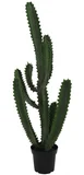 Planta Artificial Cactus Just Home Collection