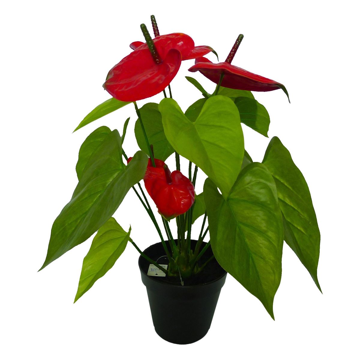 Planta Artificial Antúrio Verde Just Home Collection, marca Just Home Collection - Foto Principal