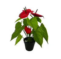 Planta Artificial Antúrio Verde Just Home Collection