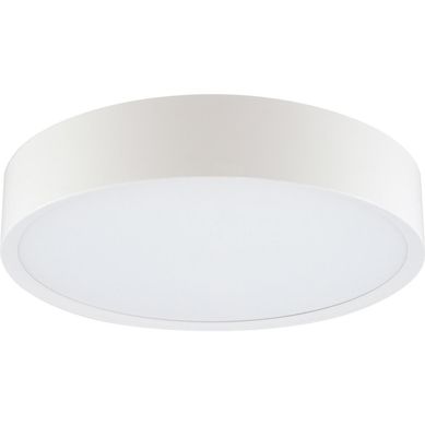 Plafon de LED Redondo de 30cm Anillo Bivolt Branco Just Home Collection