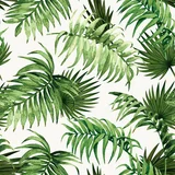 Papel de Parede Folhagem Tropical