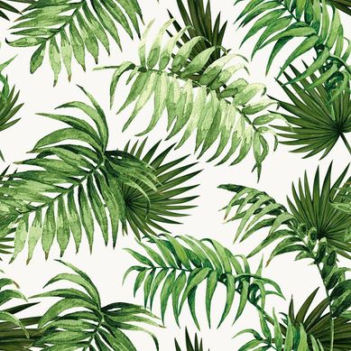 Papel de Parede Folhagem Tropical