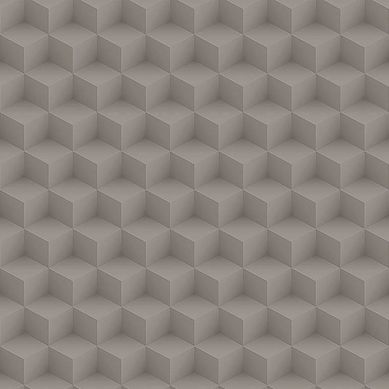 Papel de Parede Geomtrico Cubo 3D Cinza