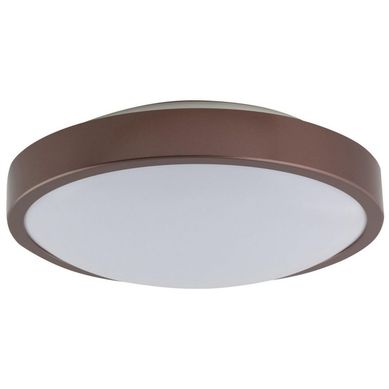 Plafon de LED Anillo de 26cm 6500K Bivolt Marrom Casa Bonita
