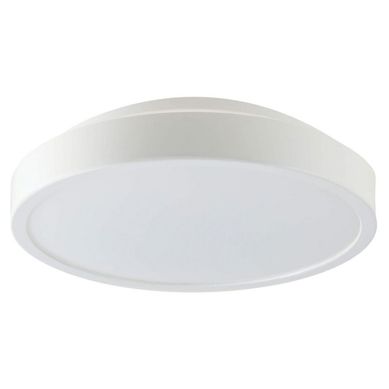 Plafon de LED Anillo 26cm 6500K Bivolt Branco Casa Bonita