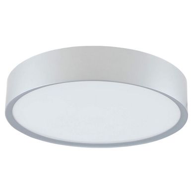 Plafon de LED Anillo de 31cm 6500K Bivolt Prata Casa Bonita