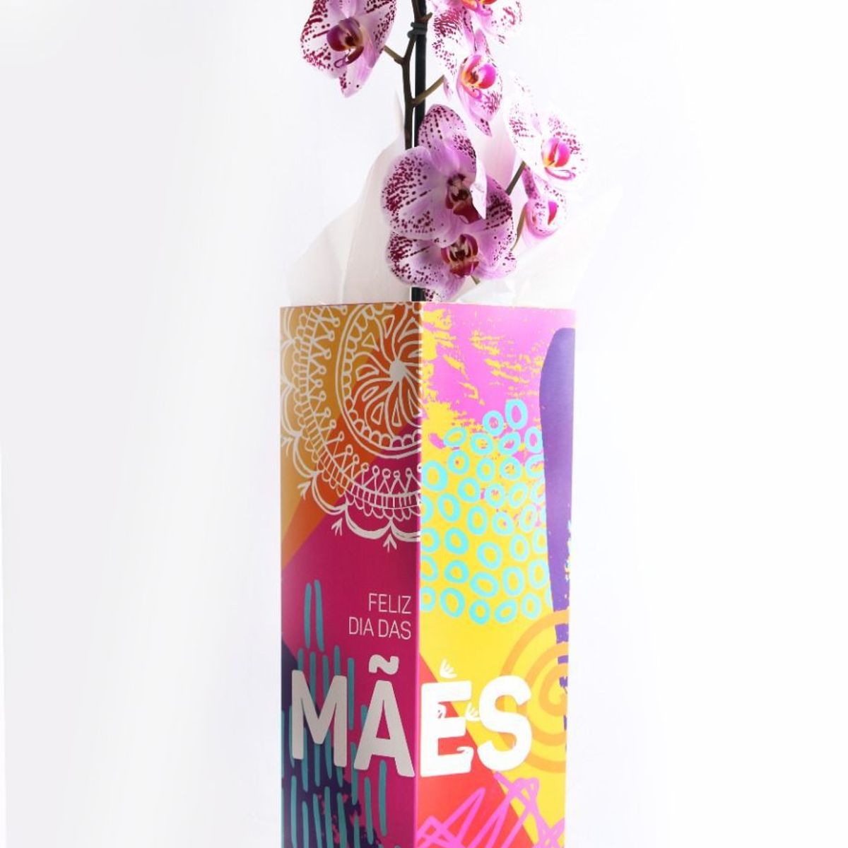 Orquídea Phalaenopsis Pote 12 Especial Mães, marca  - Foto Principal
