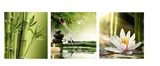 Trio Quadros Bambu Id-811 30x30cm