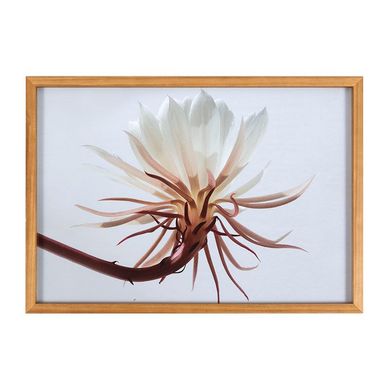 Quadro MD1144 Flor Sodimac 35 x 50 cm