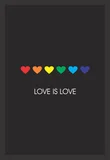 Quadro sem Vidro Love Is Love 22x32 cm