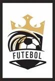 Quadro sem Vidro 22x32cm Preto - Futebol