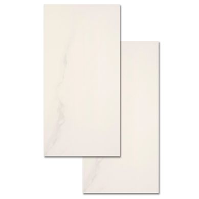 Porcelanato Michelangelo Natural Retificado 60X120 cm