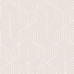 Papel de Parede Cubico Cu87416