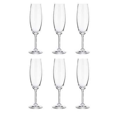 Kit com 6 Taas para Degustao de Champagne Cristal Ecolgico Lyor Crystal Bohemia 220ml Coliseu