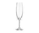 Taça para Degustação de Champagne Cristal Ecológico Lyor Crystal Bohemia 220ml Coliseu