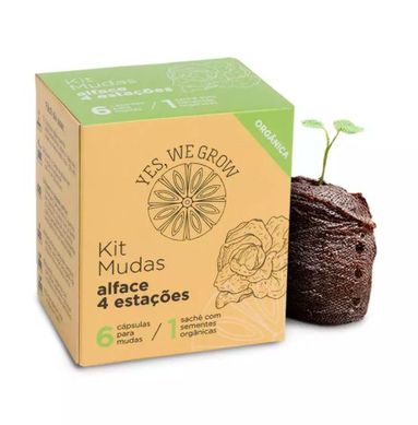 Kit Mudas Alface Yeswegrow