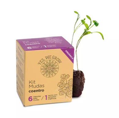 Kit Mudas Coentro Yeswegrow