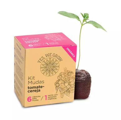 Kit Mudas Tomate cereja Yeswegrow