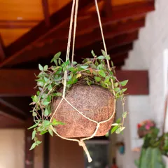 Vaso Pendente Fibra de Coco Parede Médio 12x10x12cm Coquim