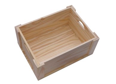 Nicho Organizador Mdio de Pinus