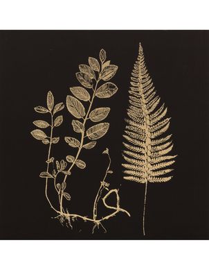 Quadro Canvas Leaf 02 50x50 cm Homy
