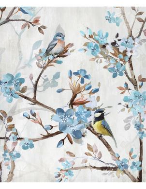 Quadro Canvas Pssaro 01 50x40 cm Homy