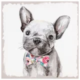 Quadro Canvas Cachorro 30x30 cm Homy