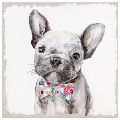 Quadro Canvas Cachorro 30x30 cm Homy