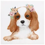 Quadro Canvas Cachorro 30x30 cm Homy