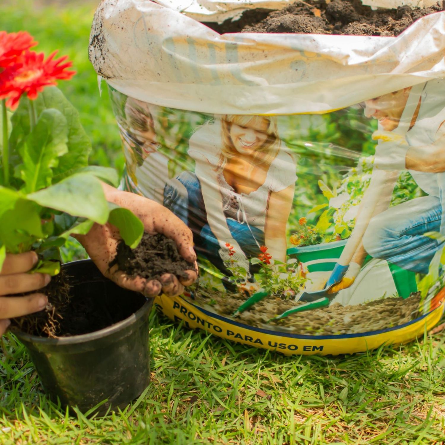 全巻セット *Flower garden* Substrato para Vasos e Floreiras Saco 20Kg All Garden | Sodimac