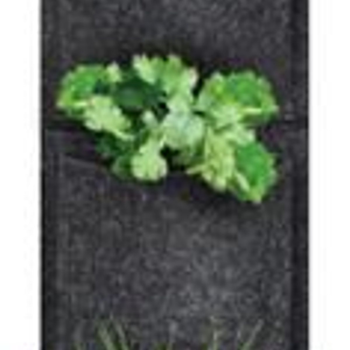 Horta Vertical em Feltro 4 Nichos Plante e Cuide, marca Plante e Cuide - Foto 2