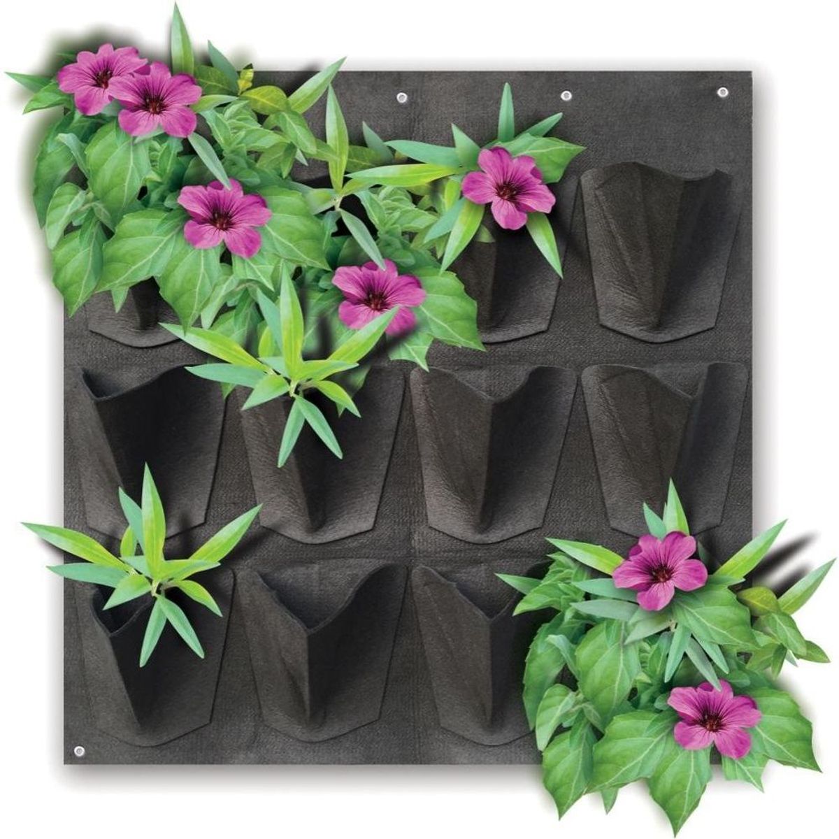 Jardim Vertical em Feltro 12 Nichos Plante e Cuide, marca Plante e Cuide - Foto Principal