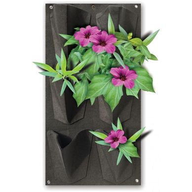 Jardim Vertical em Feltro 6 Nichos Plante e Cuide