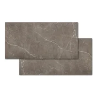 Porcelanato Pulpis Intense Mate 100x200cm Caixa 2m² Retificado Roca