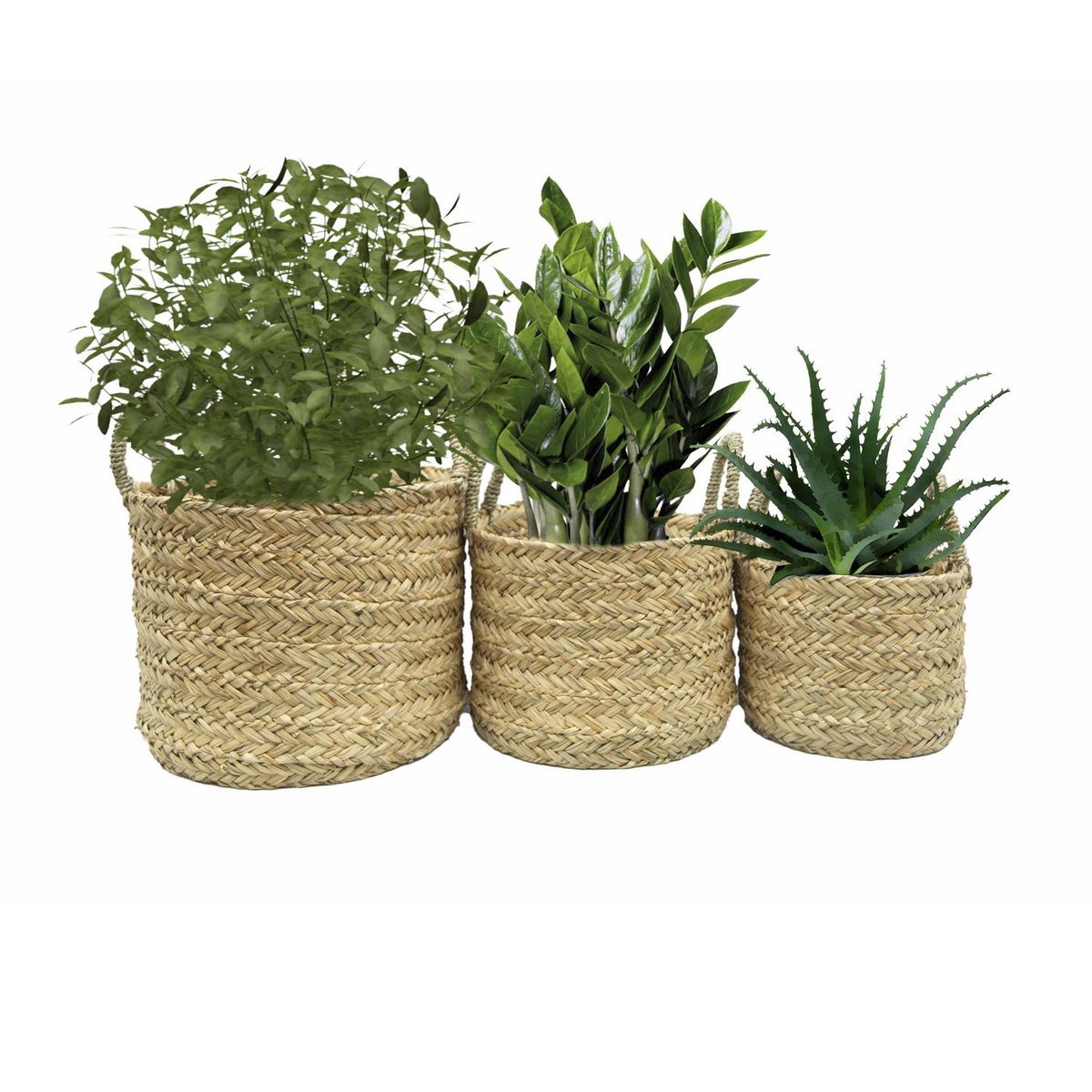 Cesto Quilca 36x25cm Just Home Collection, marca Just Home Collection - Foto Principal