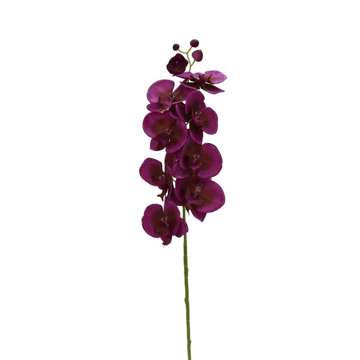 Haste Orquídea Lilás Just Home Collection, marca Just Home Collection - Foto Principal