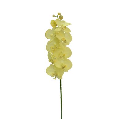 Haste Orqudea Amarelo Just Home Collection