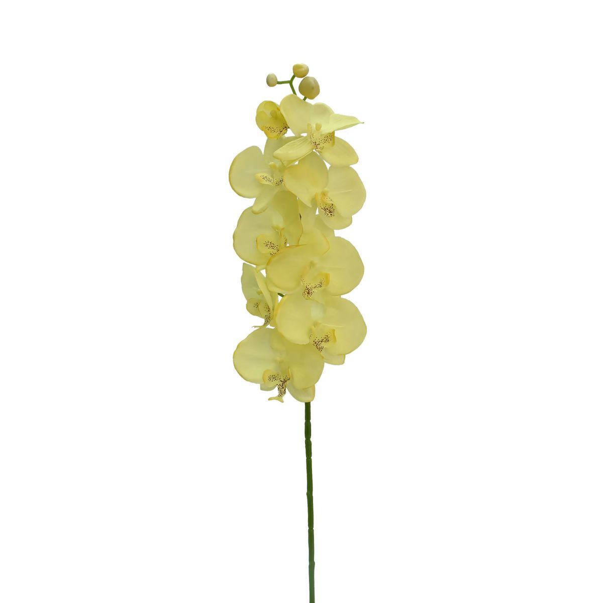 Haste Orquídea Amarelo Just Home Collection, marca Just Home Collection - Foto Principal